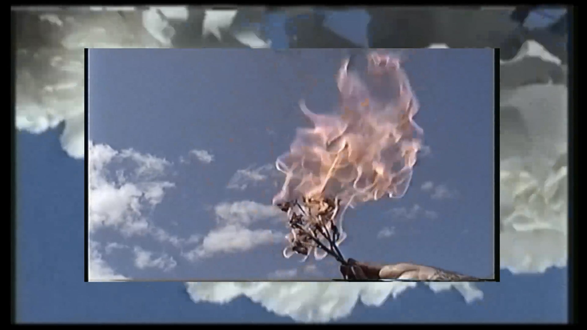 Load video: Music video for the song Patron Saint featuring grass, dead flowers, and flames.